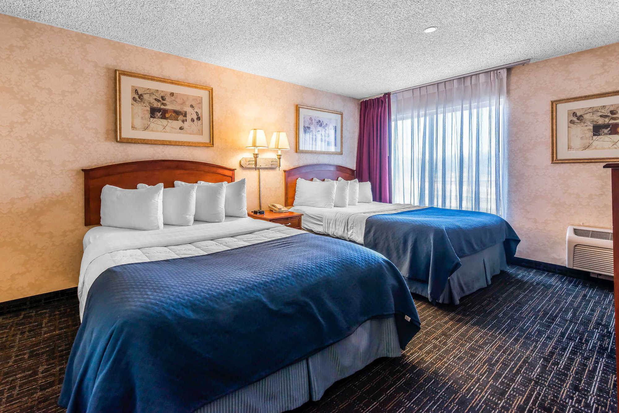 Quality Suites Central Colorado Springs Room photo